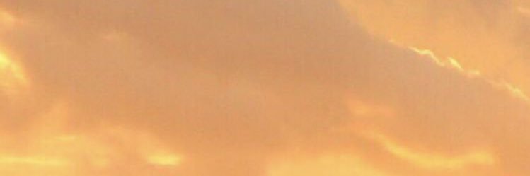 claravidu's profile banner image