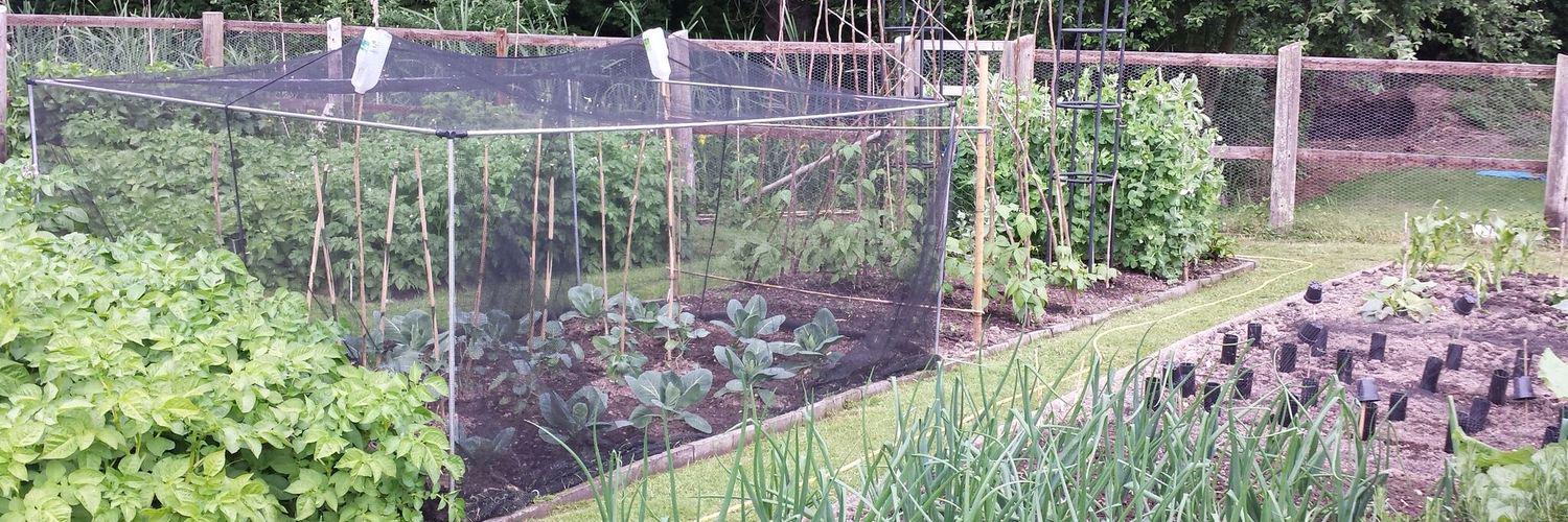 sandra cather banner