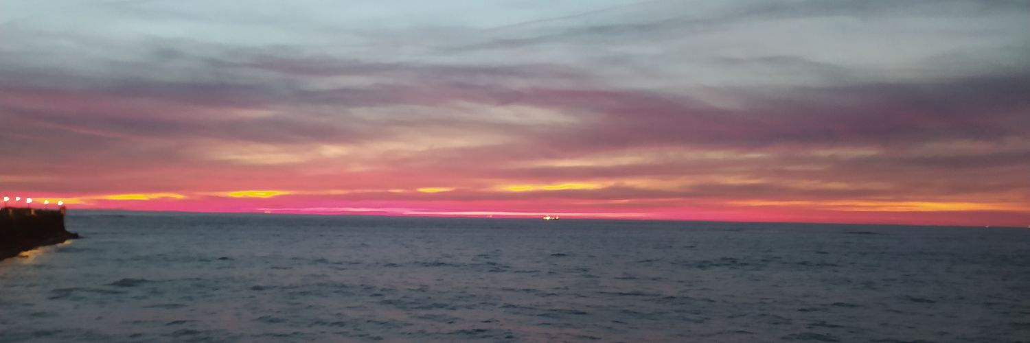 JaviBoss_'s profile banner image