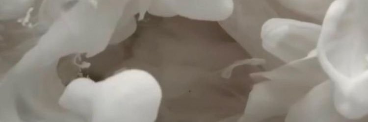 lojin19's profile banner image