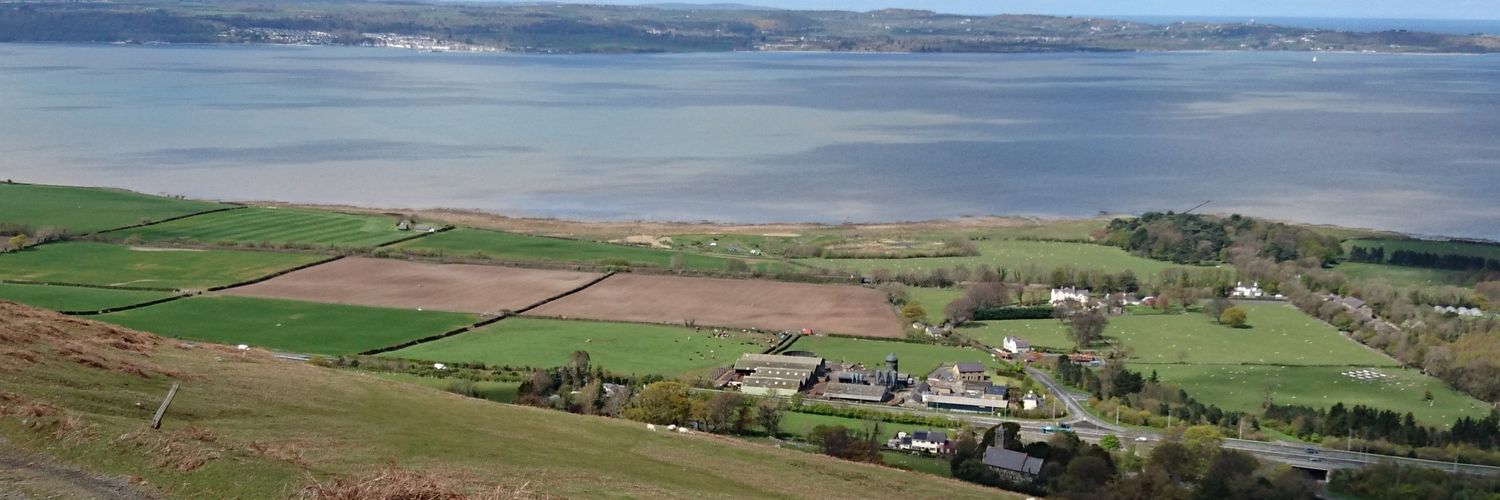 Dave Chadwick banner