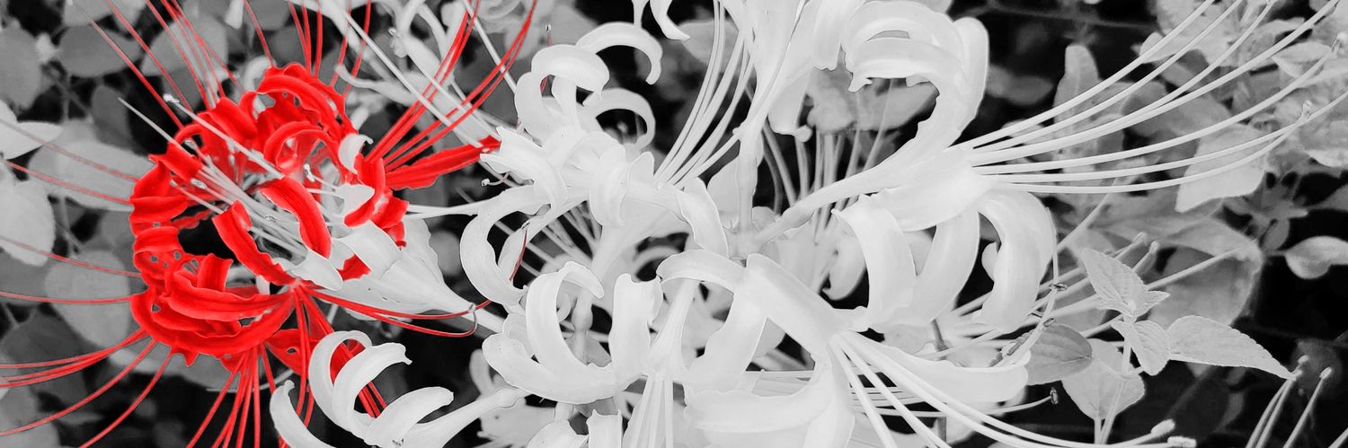 あやめ(なぎゅ) banner