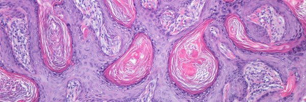 DermwizGuy Profile Banner