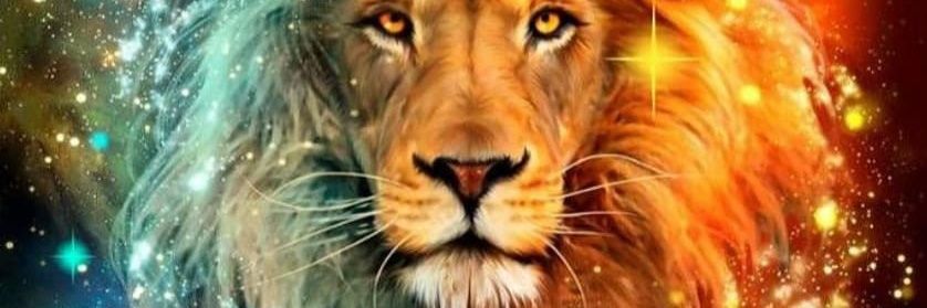 AD Jackson 🌸 banner