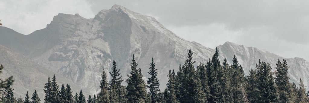 aveswail's profile banner image