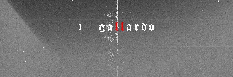 TGallardo_'s profile banner image