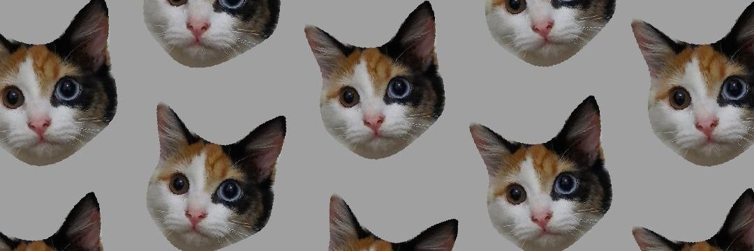 zidnitzky's profile banner image