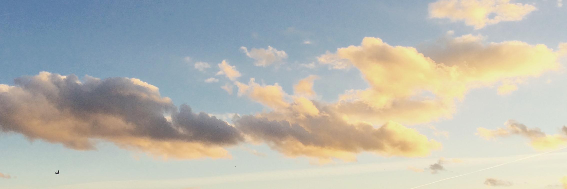 Clara Gabillet banner