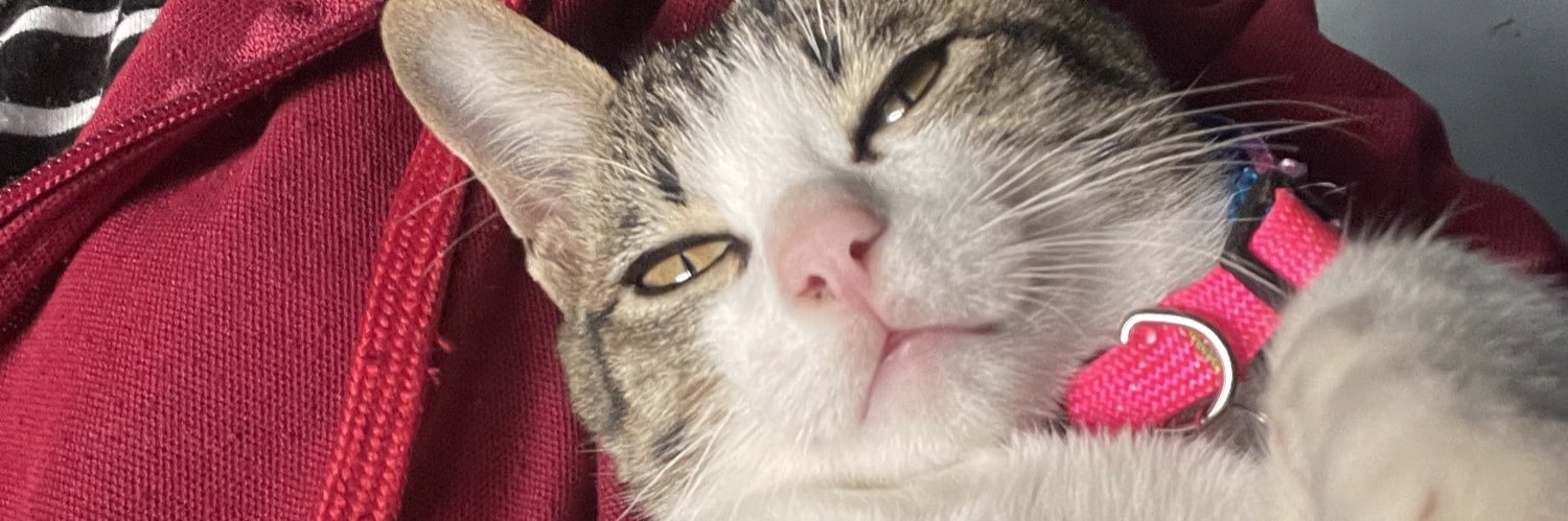 aa_aaumaimm's profile banner image