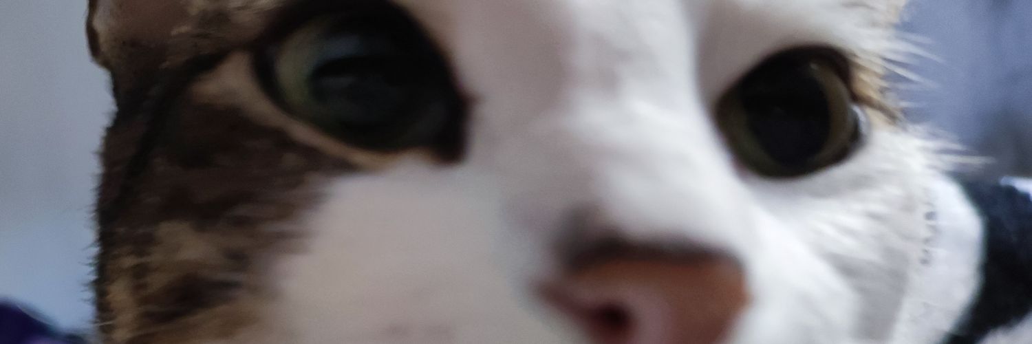 lttlebe's profile banner image