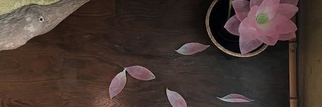 eseireine's profile banner image