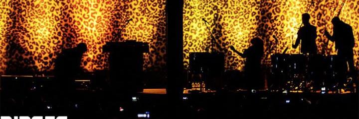 Ripper_Photo's profile banner image