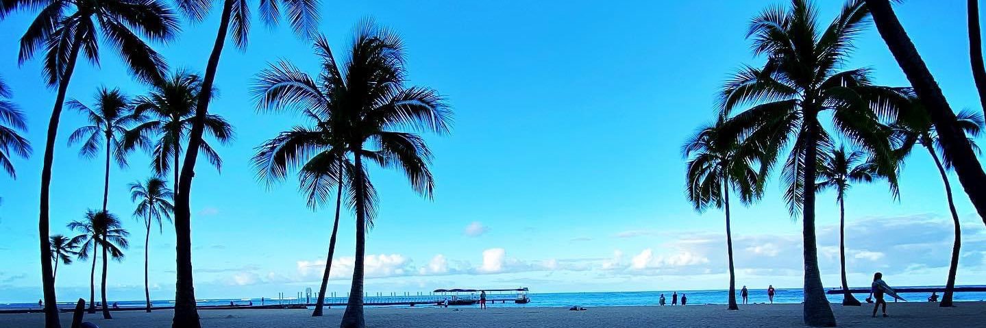 Joei Catalina banner