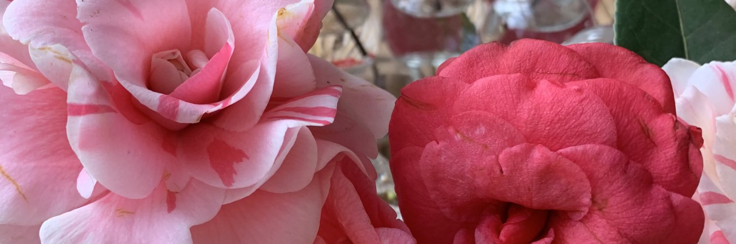 Dr Lisa M Thompson banner