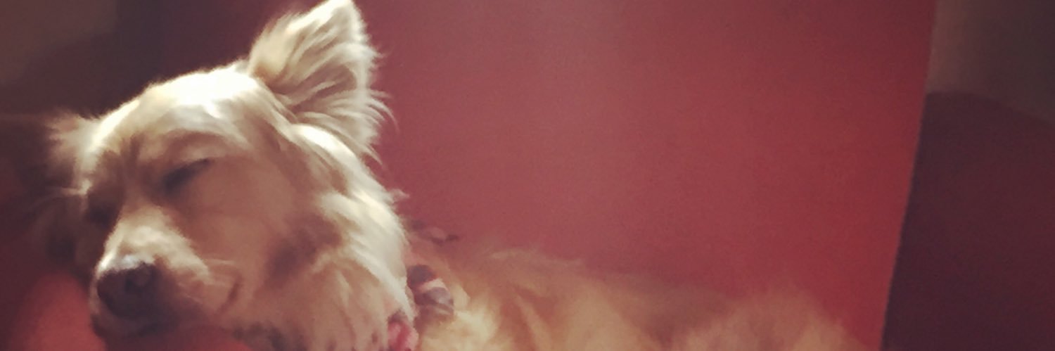 Andrea López 💃🏻 banner