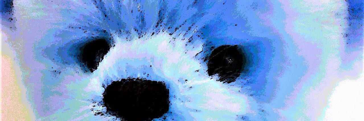 sconbtea's profile banner image