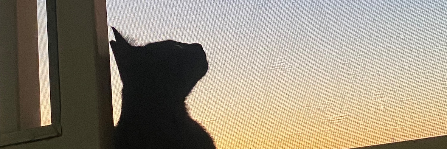 CamySori's profile banner image