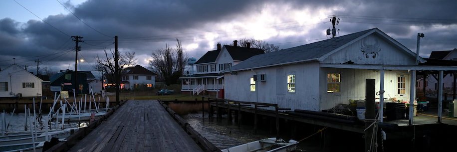 Peter Jamison banner