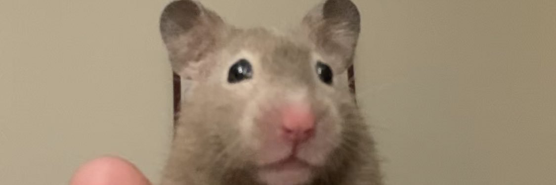 Floofty Fizzlebean banner