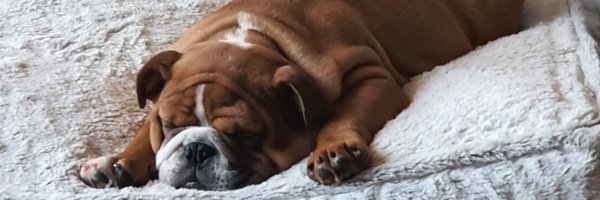 LeanneChatt Profile Banner