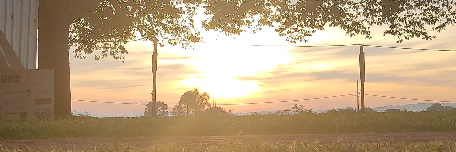 The One Who Theorizes | Aquele que Teoriza banner