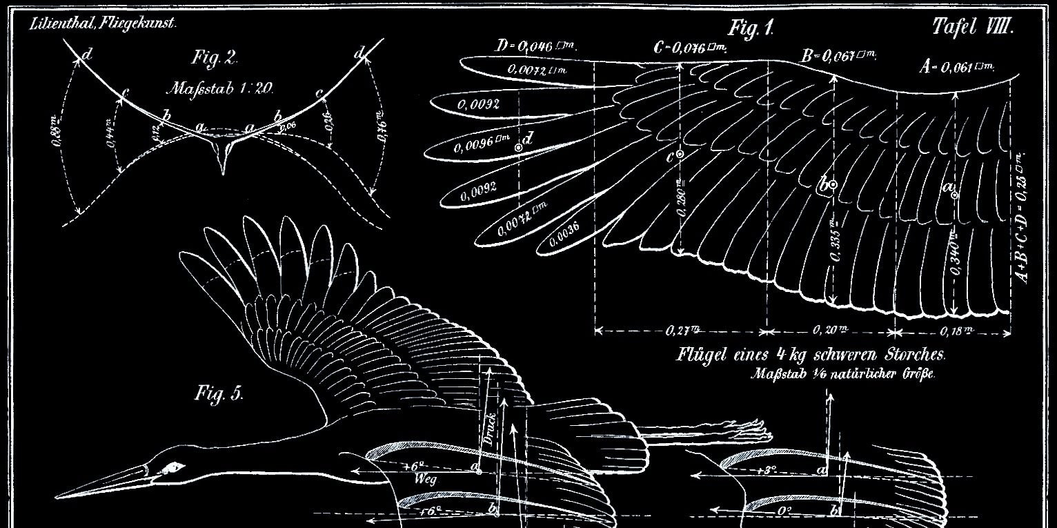 carbon_bird's profile banner image