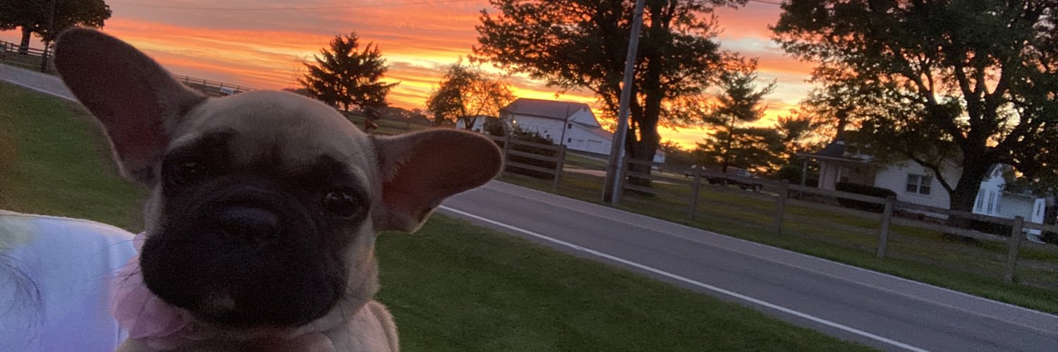 SavvMarieMorg's profile banner image