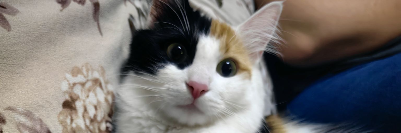 ltfitre's profile banner image
