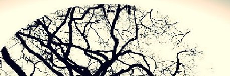 jaleo_2020's profile banner image