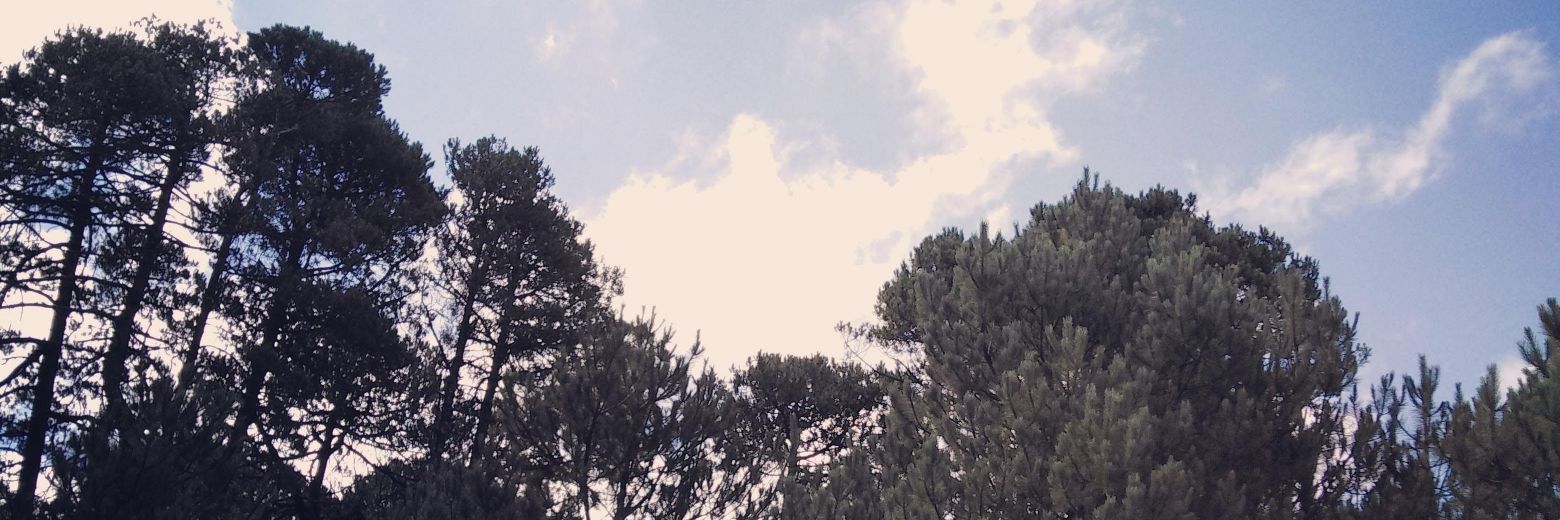 itzel15ag3's profile banner image