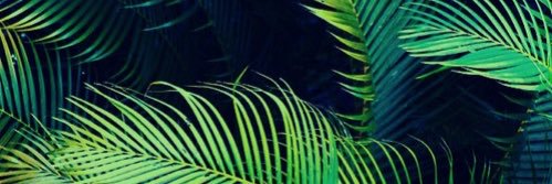 TayJKasp's profile banner image