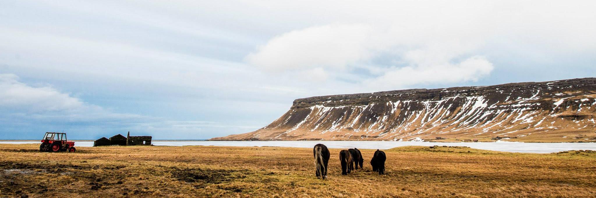 Chris Sheldrick banner