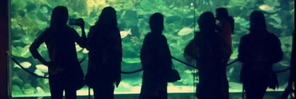 Marwaa_MBF's profile banner image
