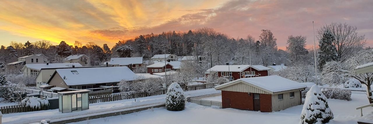 Mohsen Mirkhalaf banner