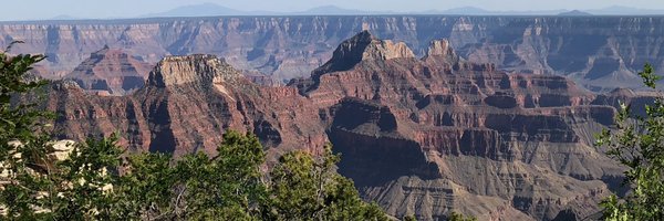 dcoder Profile Banner