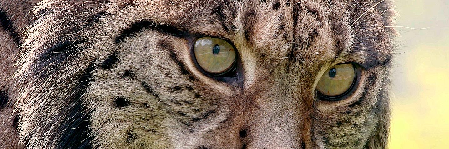 DocsTerra's profile banner image