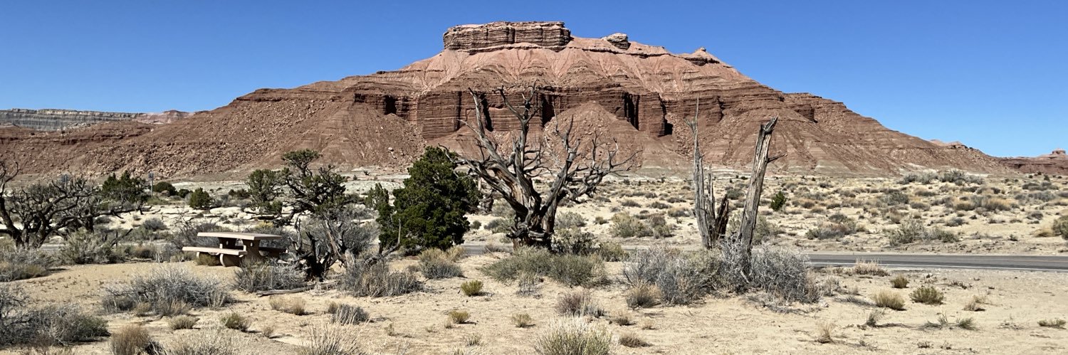 Michael Teems ☮️ banner