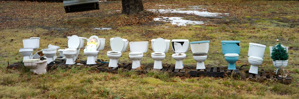 Patrick Buckley banner