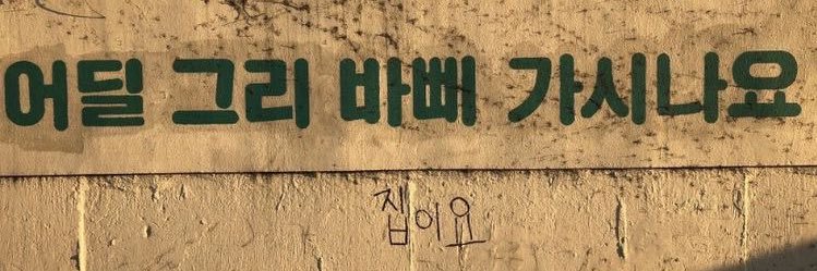 suieezy's profile banner image