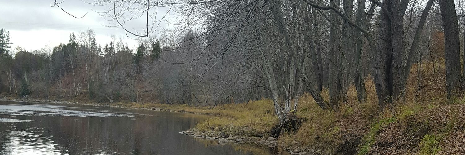 Debbie Grillo banner