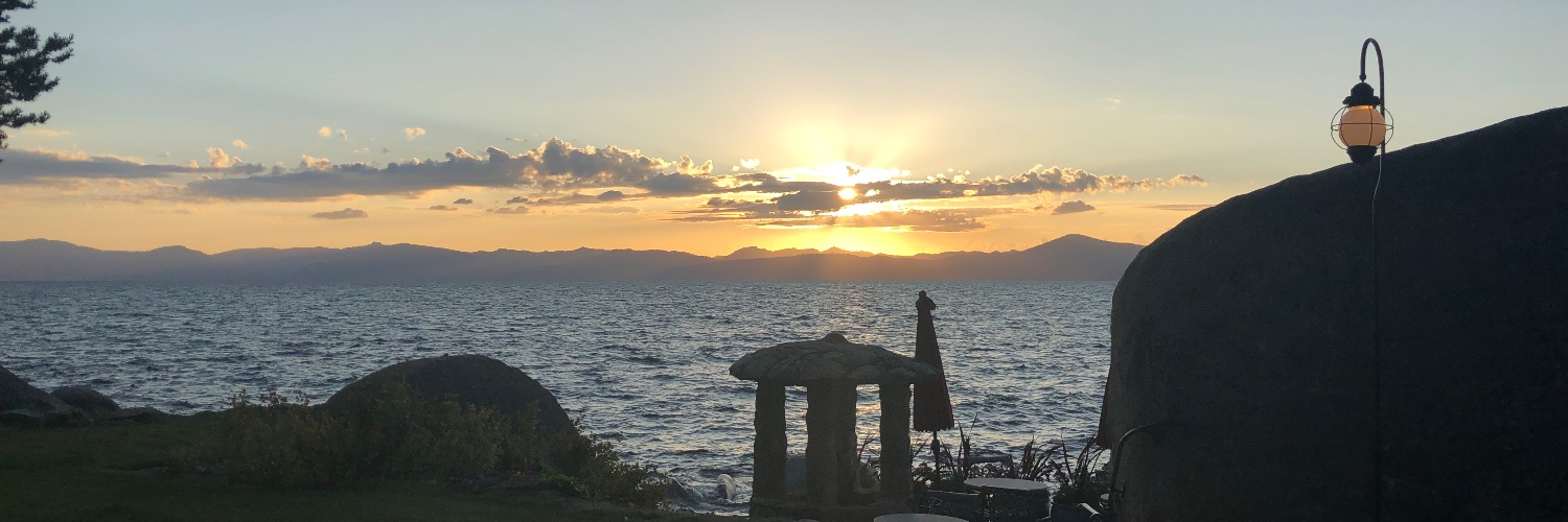 We Need Term Limits ! banner