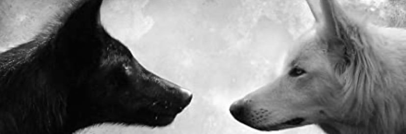 ♏r. X banner