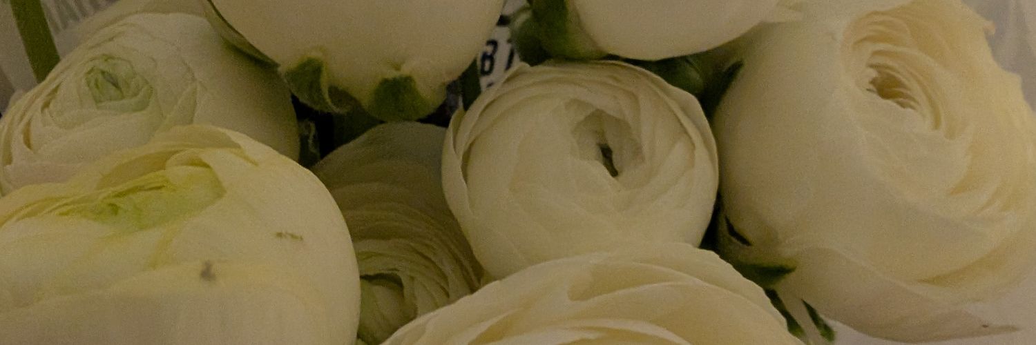 Franzi's banner