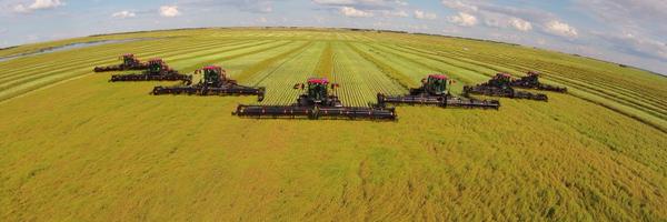 AdelmanGreg Profile Banner