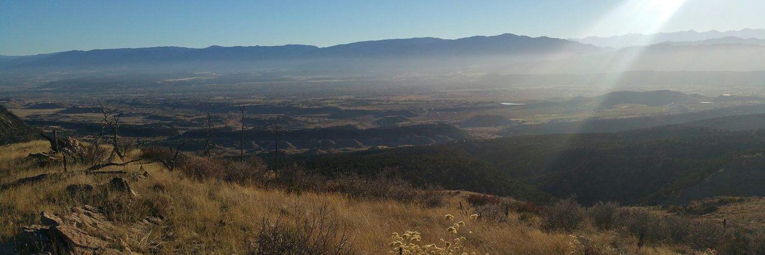 David Protter banner