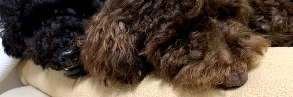 TsukasaGR Profile Banner