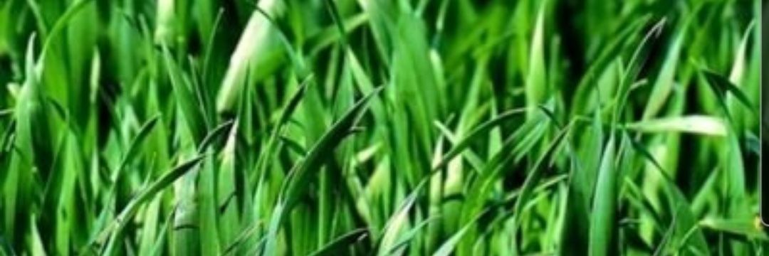 Stuart Symington banner