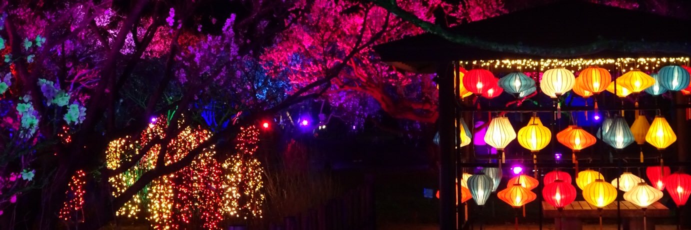 cerise__t's profile banner image
