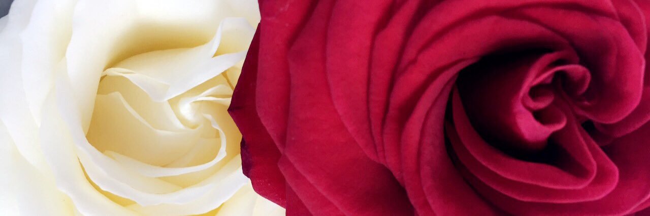 _Lamunsch_'s profile banner image