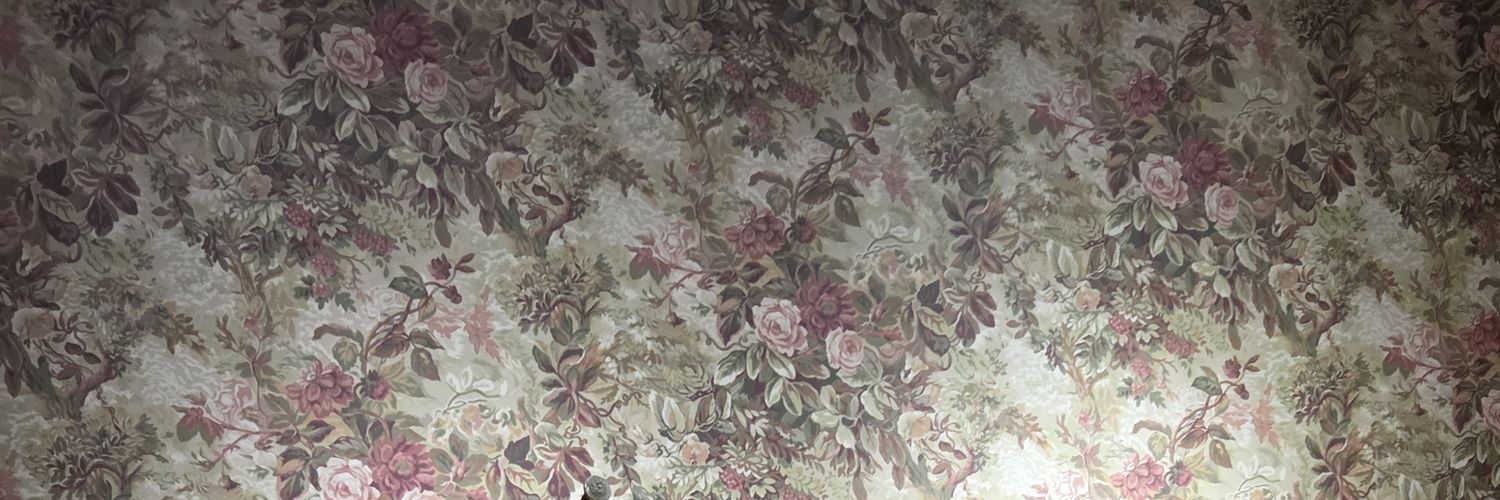 Radio Télévision JD banner